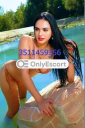 3511459356 immagine 1