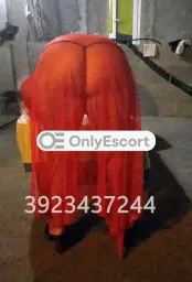 3923437244 immagine 7