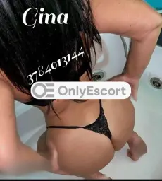 3784013144 immagine 1