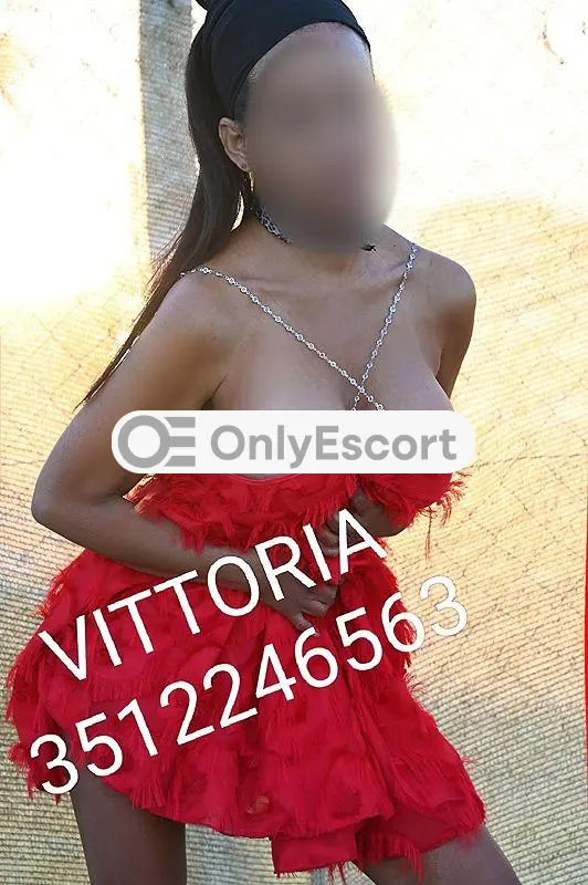 3512246563 immagine 10