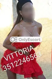 3512246563 immagine 10