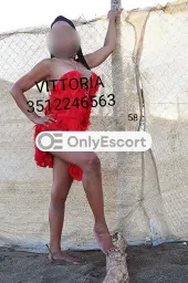 3512246563 immagine 8