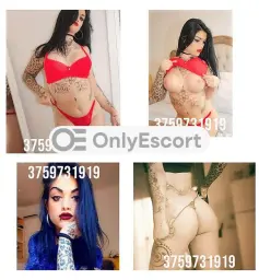 3759731919 immagine 4