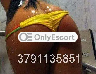 3791135851 immagine 2