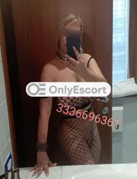 3336696361 immagine 2