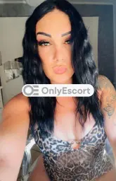 3383180517 immagine 16