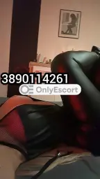3890114261 immagine 1