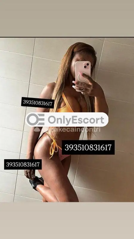 3510831617 immagine 12