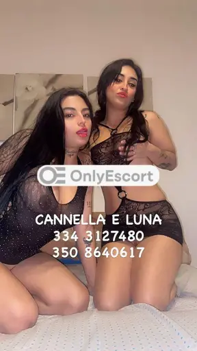 Annuncio 3508640617 Escort