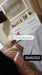 3934523232