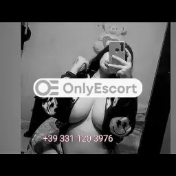 3311203976 immagine 14