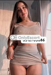 3512703086 immagine 2