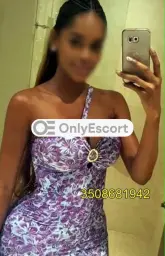 3508681942 immagine 2