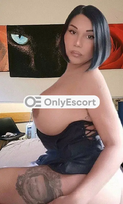 3248027686 immagine 0