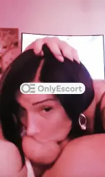 3248027686 immagine 1