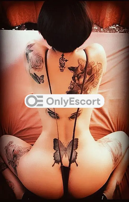 3248027686 immagine 6