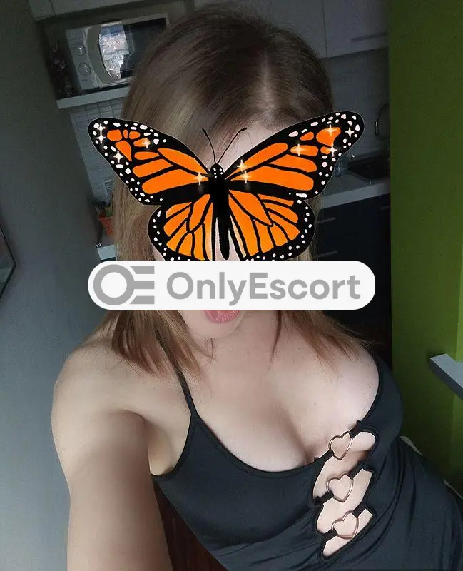 3398340742 immagine 0
