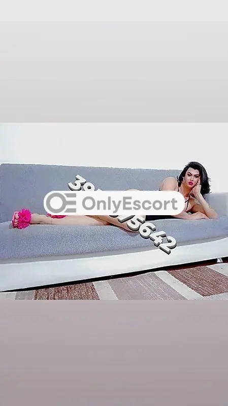3931375642 immagine 0