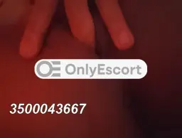 3500043667 immagine 1
