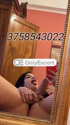 3758543022 immagine 2