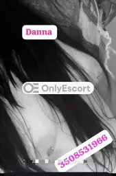 3508531966 immagine 2