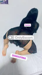 3508531966 immagine 0