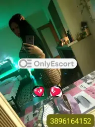 3896164152 immagine 1