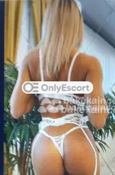 3894640852 immagine 1