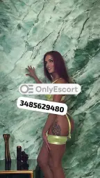 3485629480 immagine 4