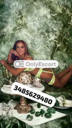 3485629480 immagine 2