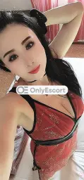 3337800136 immagine 1