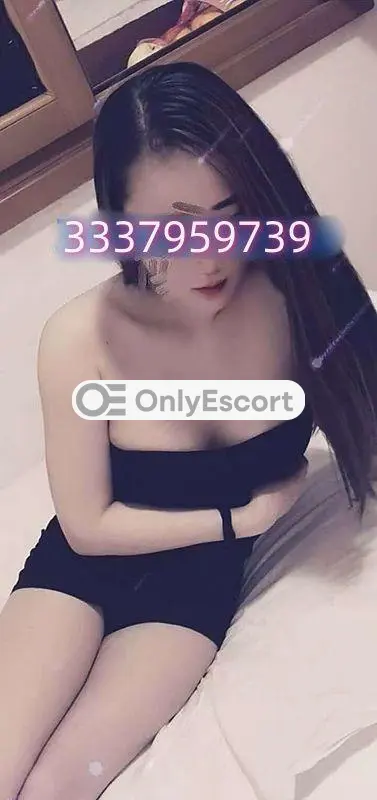 3337959739 immagine 2