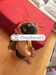 3311479914 immagine 1