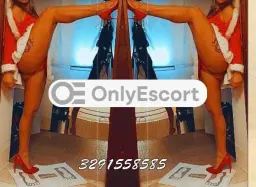 3291558585 immagine 4