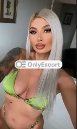 3481717541 immagine 1