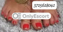 3715618041