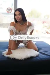 3508479681 immagine 1