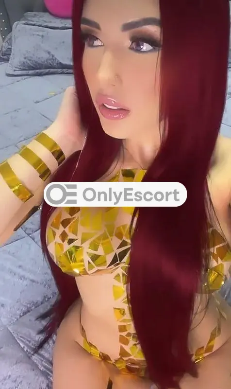 3336754681 immagine 12