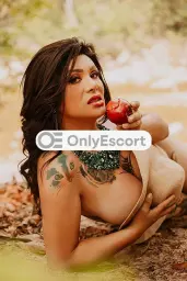 3278052381 immagine 2