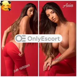 3491875869 immagine 1