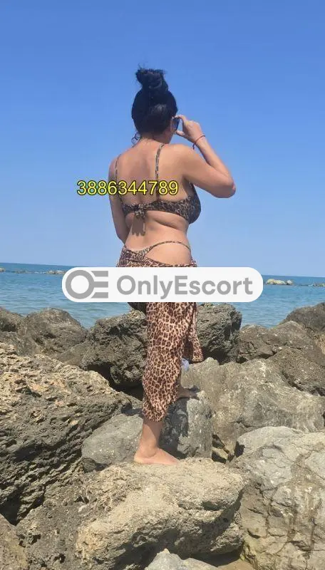3886344789 immagine 6