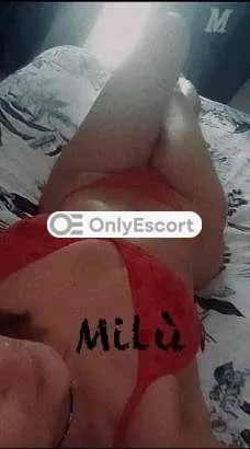 Annuncio 3279880545 Escort