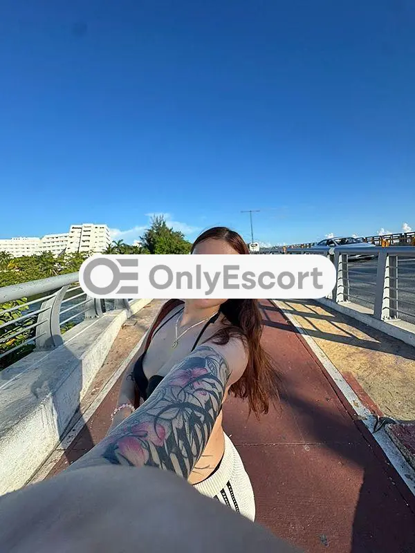 3508460113 immagine 12