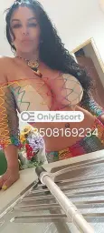 3508169234 immagine 4