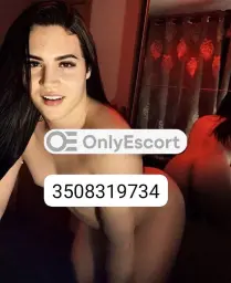 3508319734 immagine 4
