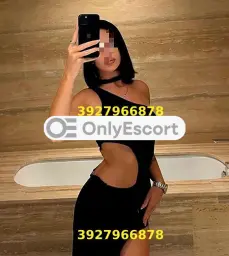 3927966878