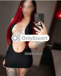 3508443435 immagine 2